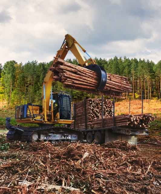 Komatsu PC135F-10M0 & Metode Tarik Panjang: Solusi Efisien Operasi Kehutanan