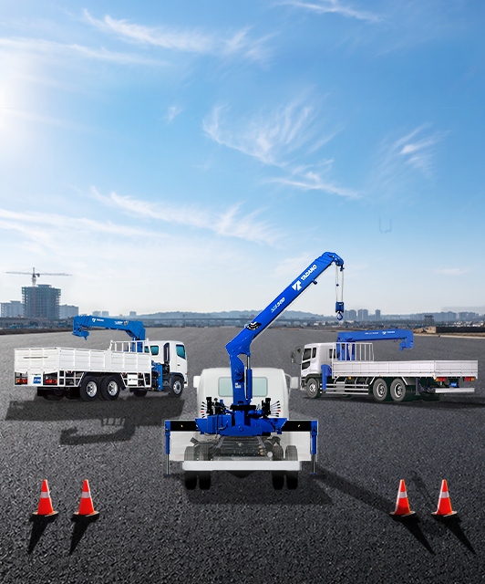 What Is a Crane, and How Does It Work? An Overview